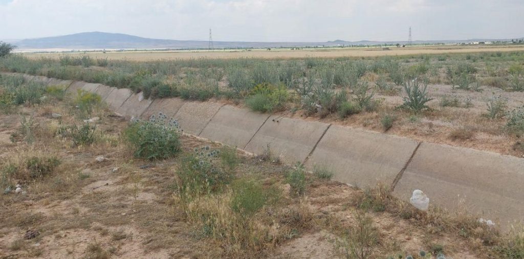 زمین کشاورزی دیم جنب شهرک گلخانه کوریجان