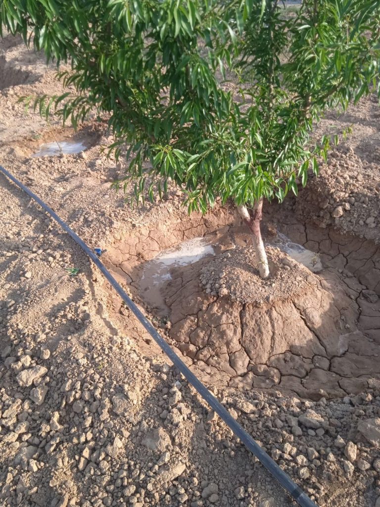 آبیاری قطره‌ای و بارانی