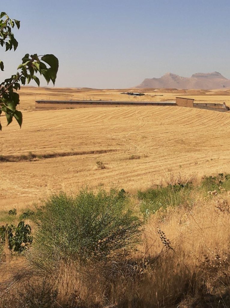 فروش زمین و ساختمان گاوداری