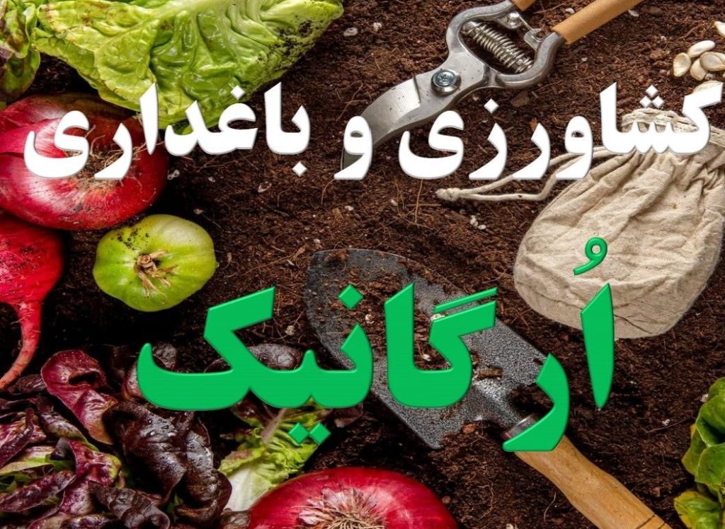 نمایندگی مرکزی فروش و مشاوره محصولات سبوسیب