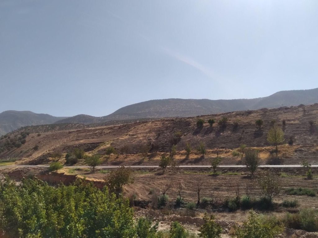 زمین کشاورزی روستای چوبتراش به ۲۲۰۰۰ متر مربع