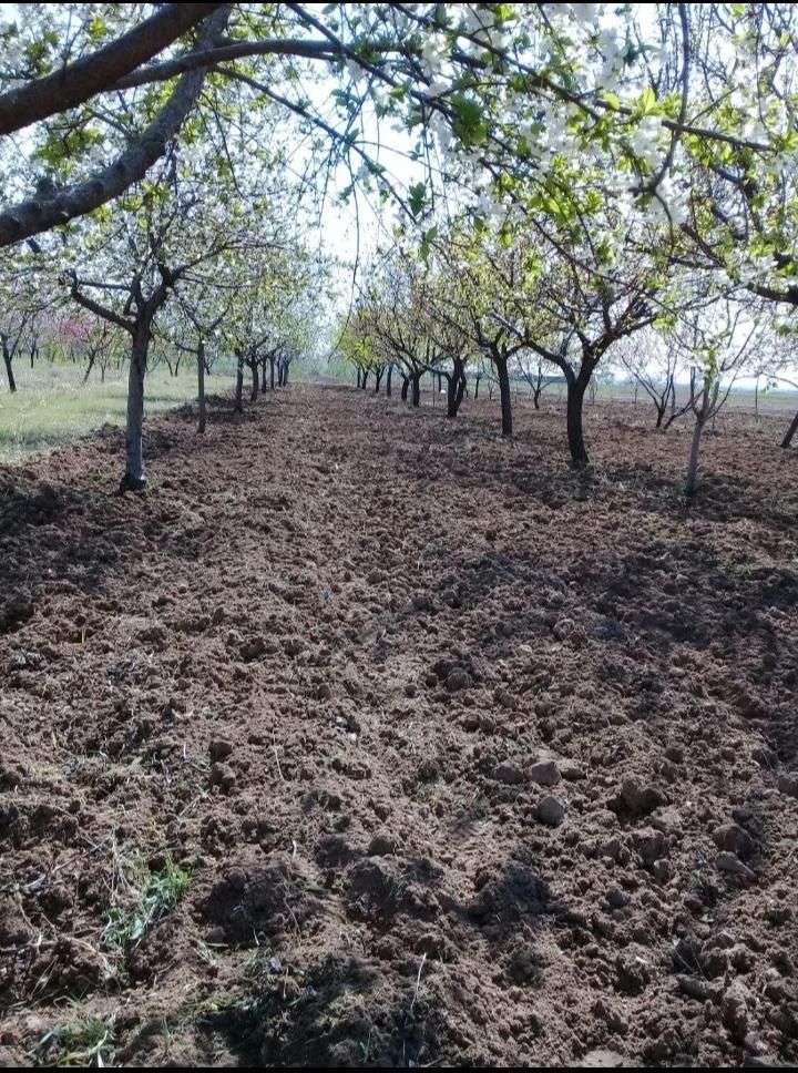 احداث باغ،باغبانی،اجرای سیستم مکانیزه آبیاری، چمن